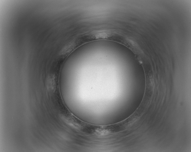 X0000068270311200604241305