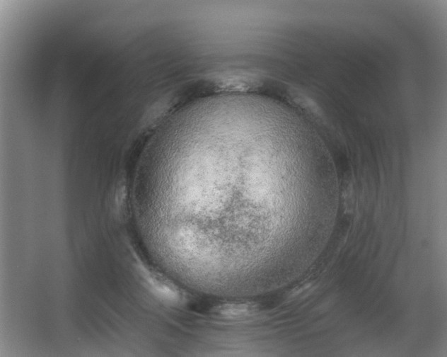 X0000068270314200604241305