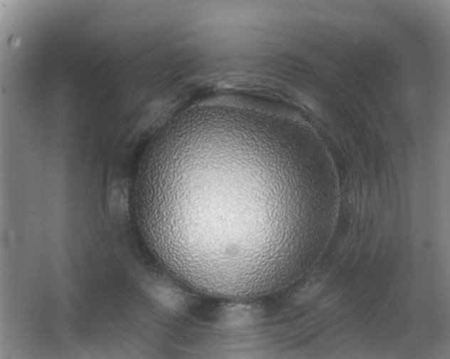 X0000068270315200604241305