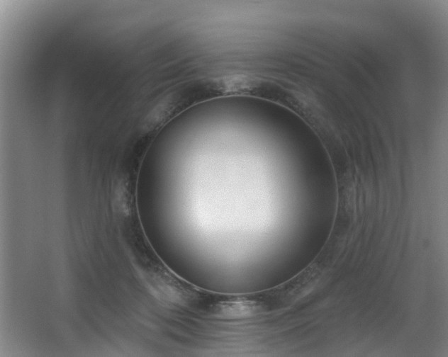 X0000068270316200604241304