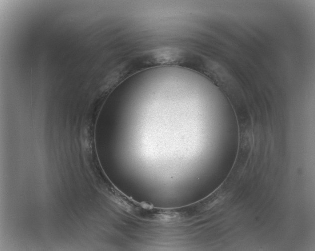 X0000068270317200604241304