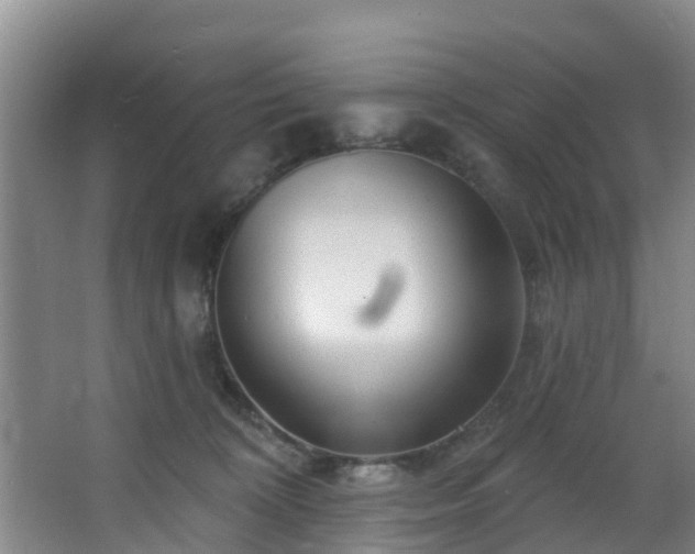 X0000068270324200604241304