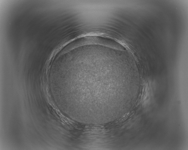 X0000068270337200604241303