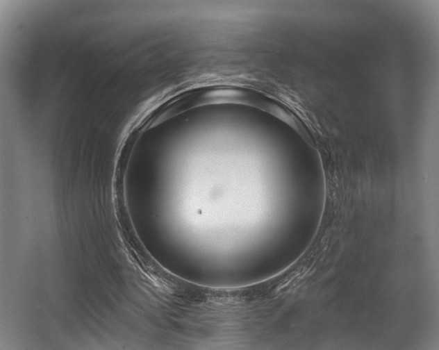 X0000068270340200604241303