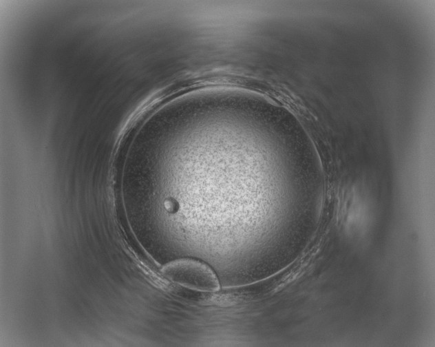 X0000068270341200604241303