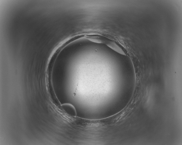 X0000068270342200604241303