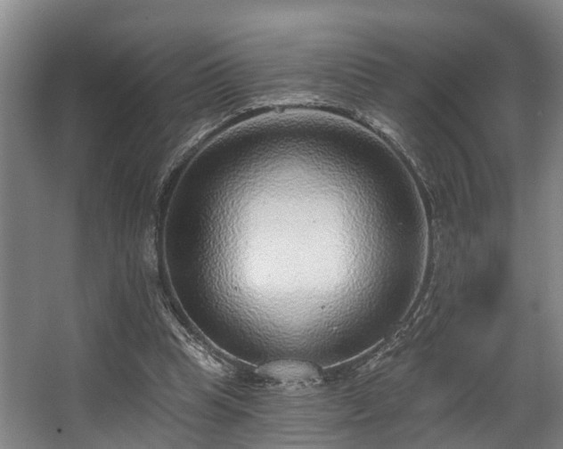 X0000068270345200604241303