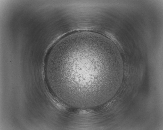 X0000068270346200604241303