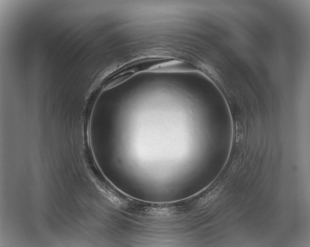 X0000068270349200604241304