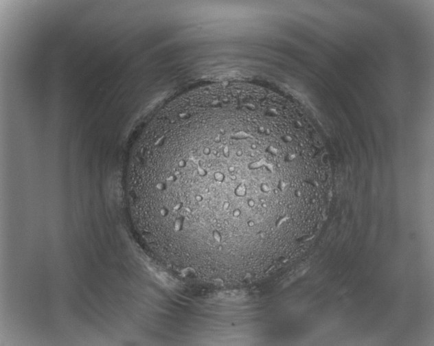 X0000068270353200604241304