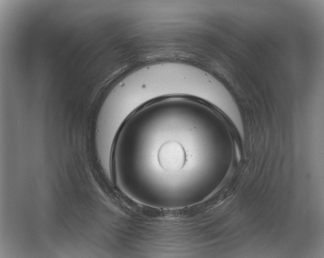 X0000068270356200604241304