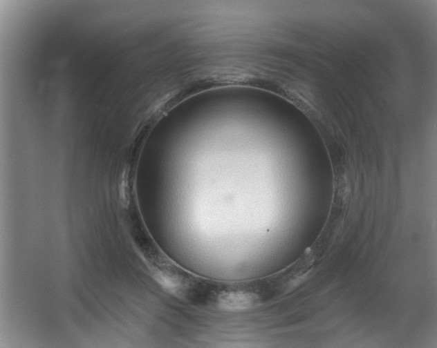 X0000068270360200604241304