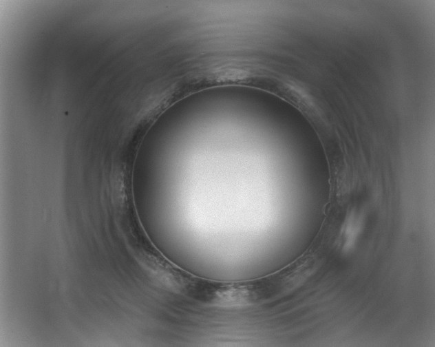 X0000068270362200604241304