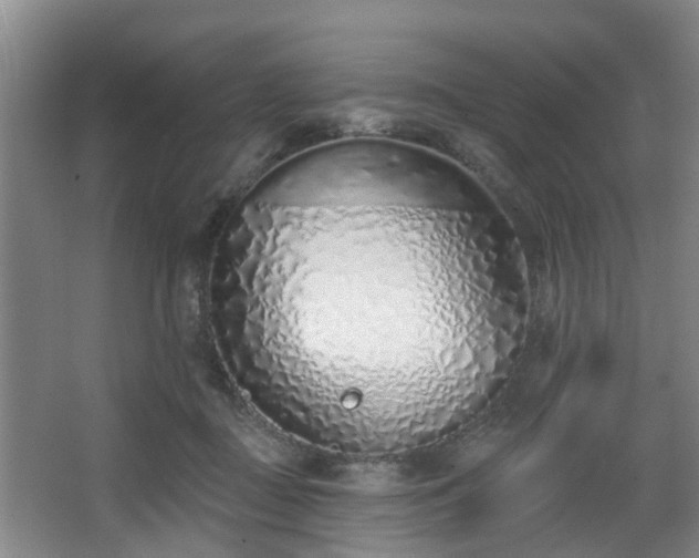 X0000068270363200604241304