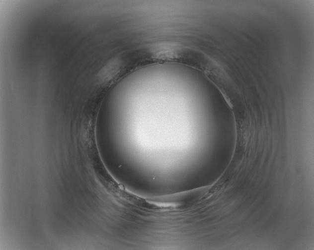 X0000068270364200604241304