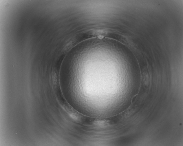 X0000068270375200604241304