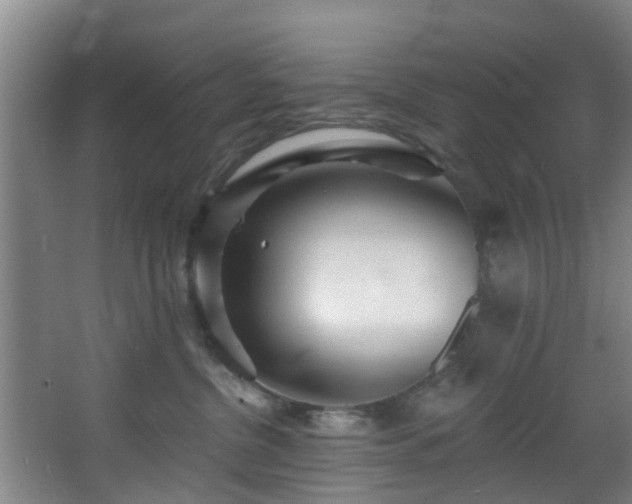 X0000068270380200604241304