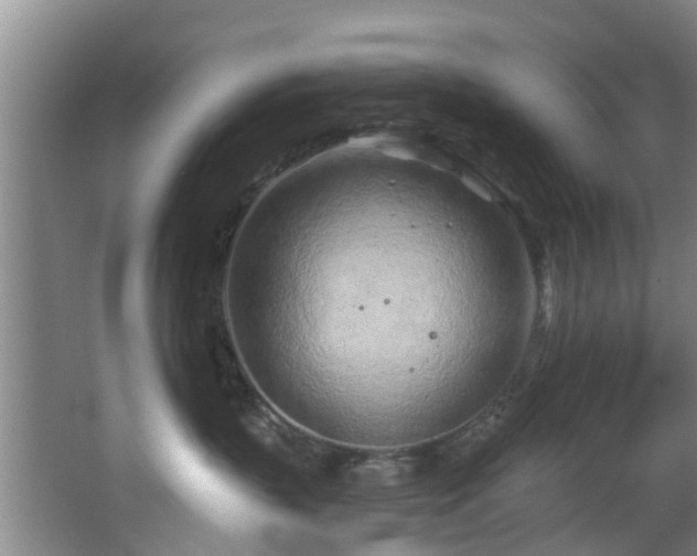 X0000068270383200604241304