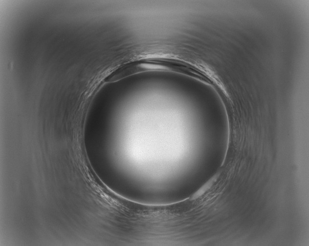 X0000068270385200604241303