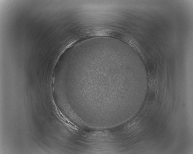 X0000068270386200604241303