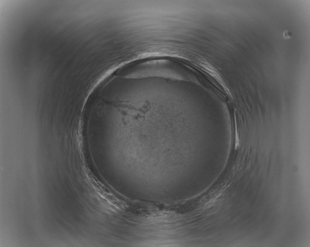 X0000068270387200604241303