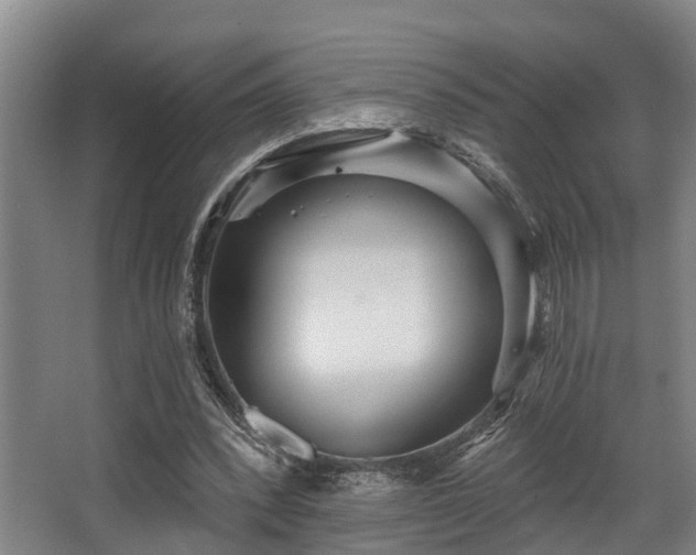 X0000068270392200604241303