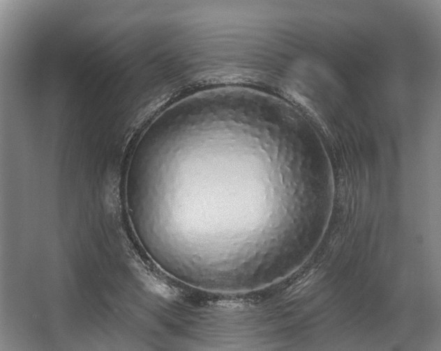 X0000068270394200604241303