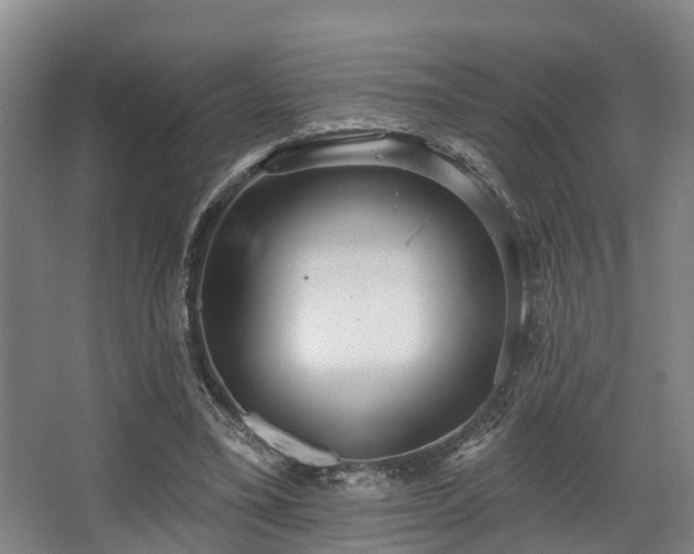 X0000068270395200604241303