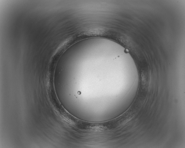 X0000068270396200604241303