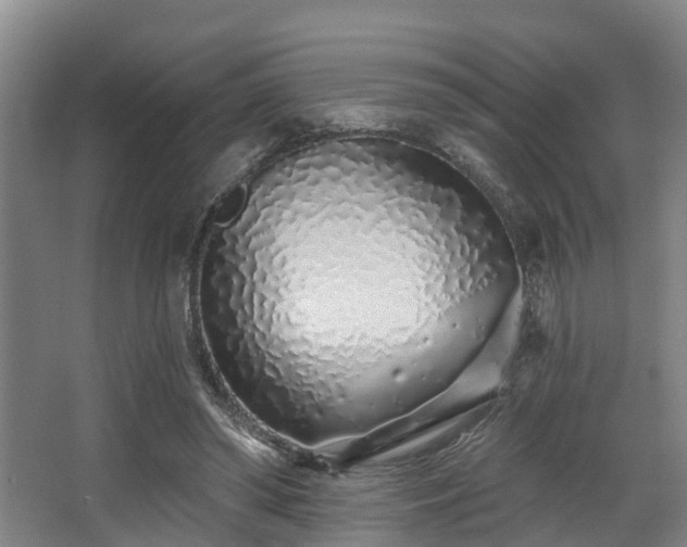 X0000068270398200604241303