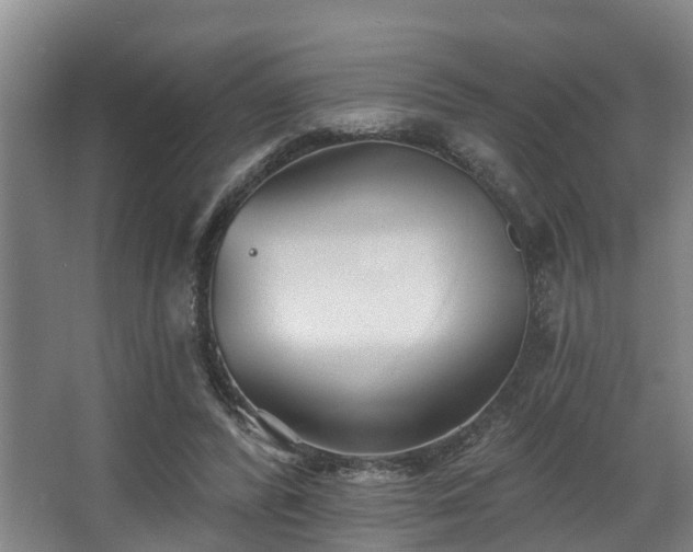 X0000068270400200604241303