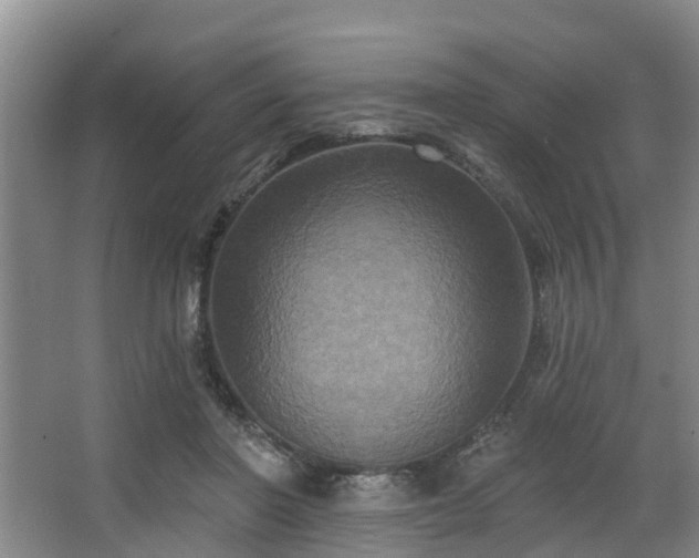 X0000068270406200604241303