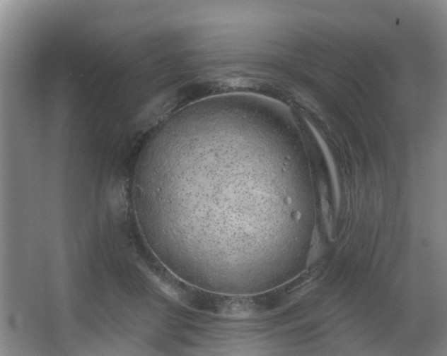 X0000068270410200604241303