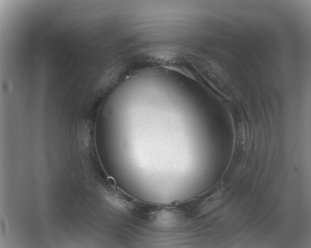 X0000068270412200604241303