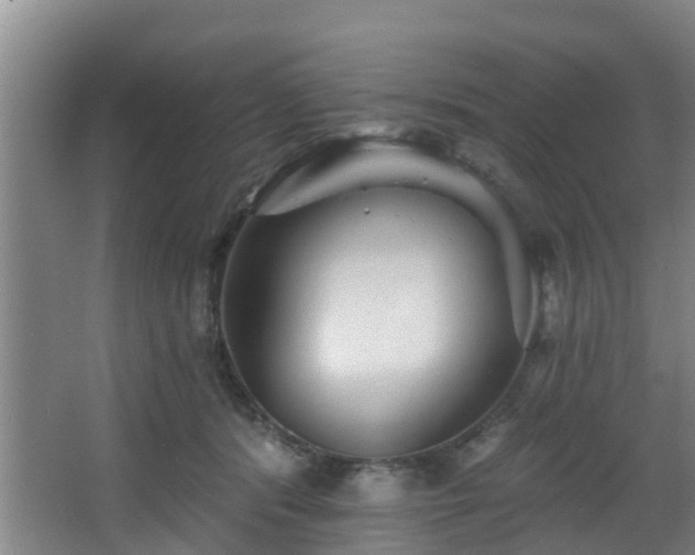 X0000068270416200604241303