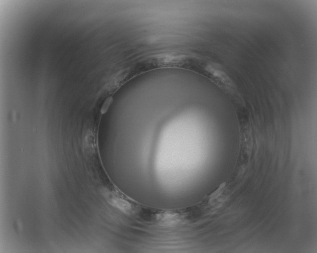 X0000068270419200604241303