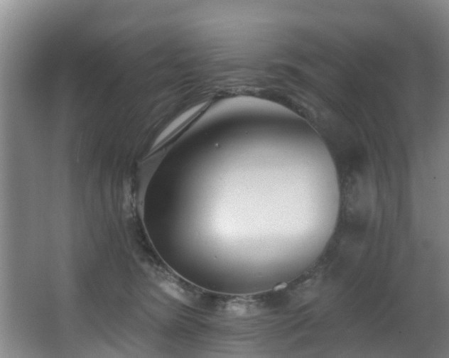 X0000068270420200604241303