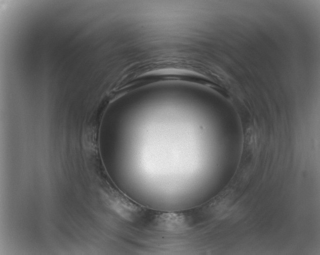 X0000068270421200604241303