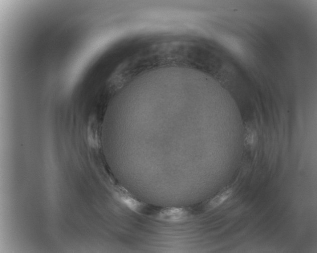 X0000068270431200604241303