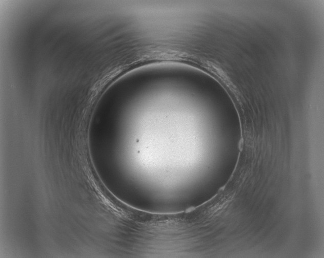 X0000068270433200604241302