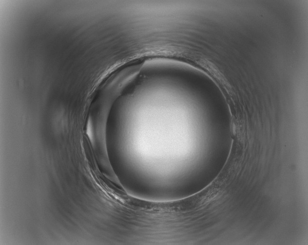 X0000068270434200604241302