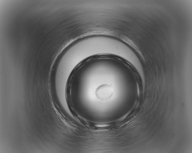 X0000068270436200604241302