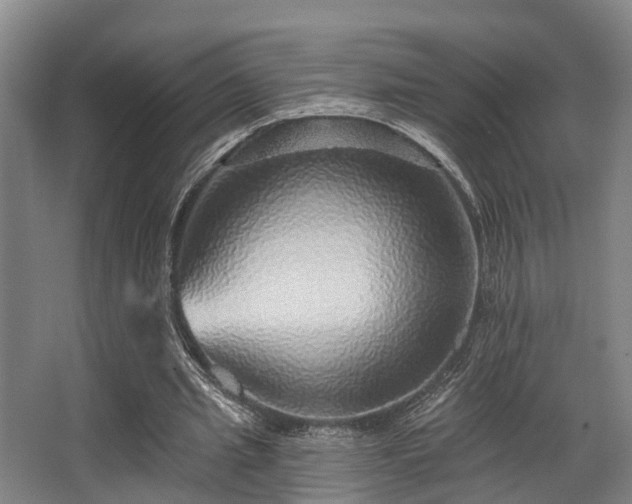 X0000068270437200604241302