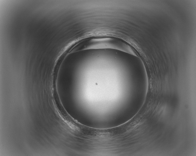 X0000068270438200604241302