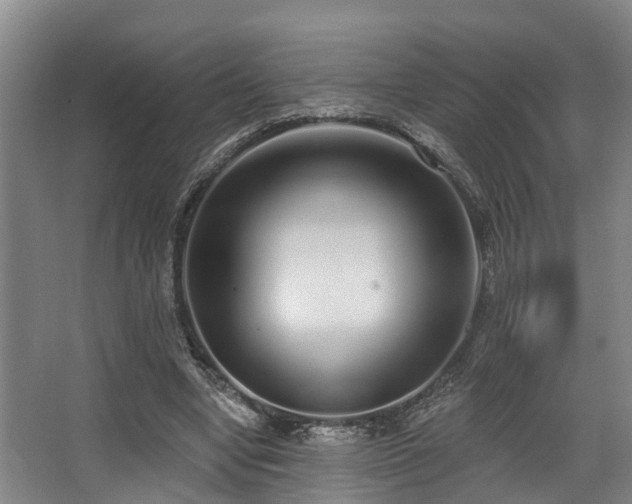 X0000068270442200604241302