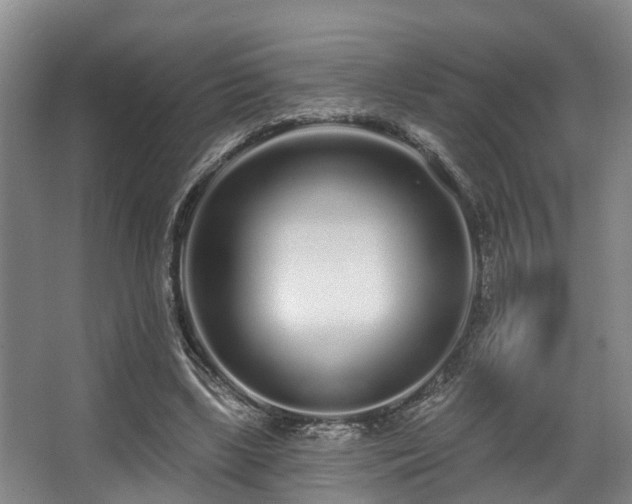 X0000068270443200604241302