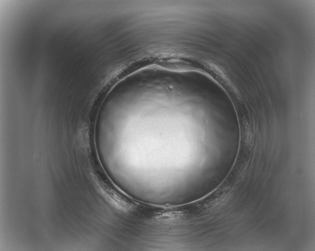 X0000068270447200604241302