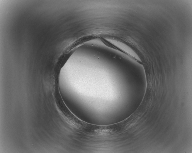 X0000068270448200604241302