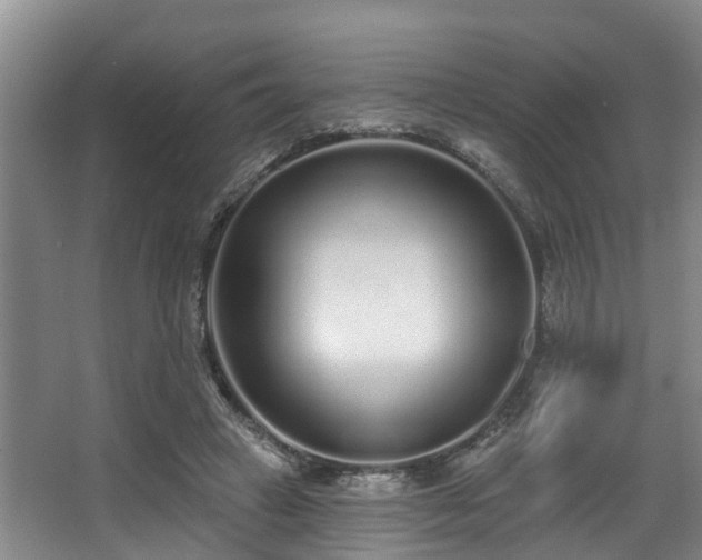 X0000068270449200604241302