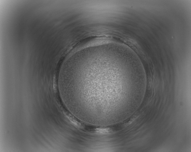 X0000068270457200604241302